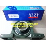 GỐI ĐỠ-XLZY-UCP208-P208